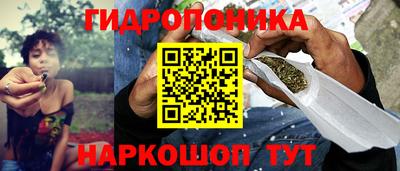 jwh Кимры
