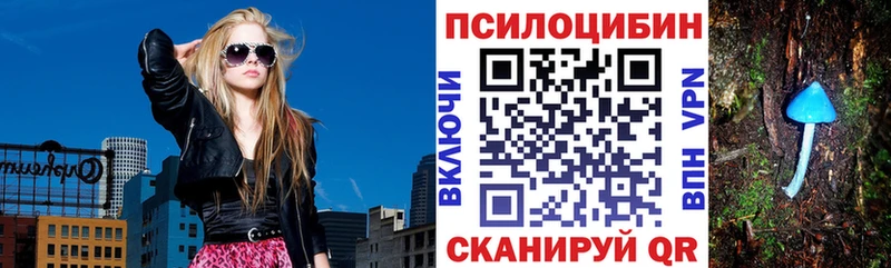 закладка Краснознаменск маркетплейс официальный сайт Галлюциногенные грибы MAGIC MUSHROOMS