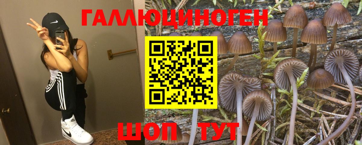 Краснознаменск  Галлюциногенные грибы Psilocybe  Галлюциногенные грибы мухоморы  Вход с VPN 